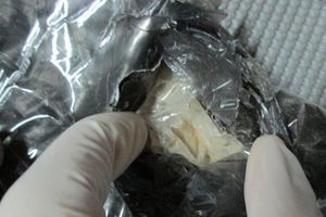 GRADINA: Zaplenjeno 2 kg heroina