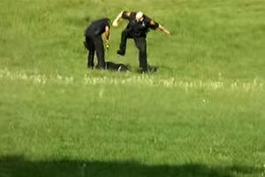 (VIDEO) KRVOLOK U UNIFORMI: Policajac nogom gazio glavu bespomoćnog čoveka!