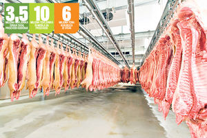 MESARI NAŠLI REŠENJE: Kupimo prasiće u EU, a prodamo svinje Rusiji