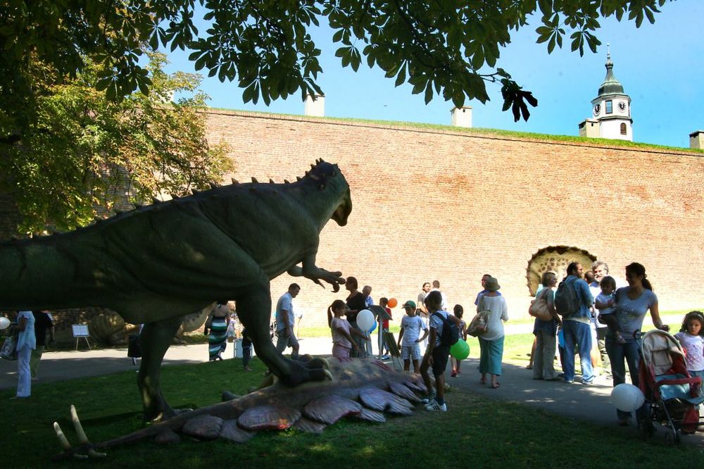 DINOSAURUSI DOLAZE NA KALEMEGDAN: Klinci će omiljenog reptila moći da jašu i prošetaju na uzici!