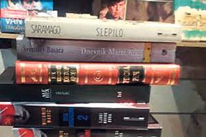 NE ZABORAVLJAJU ZEMLJAKE U DIJASPORI: Knjige na poklon bibliotekama Srba u Austriji!