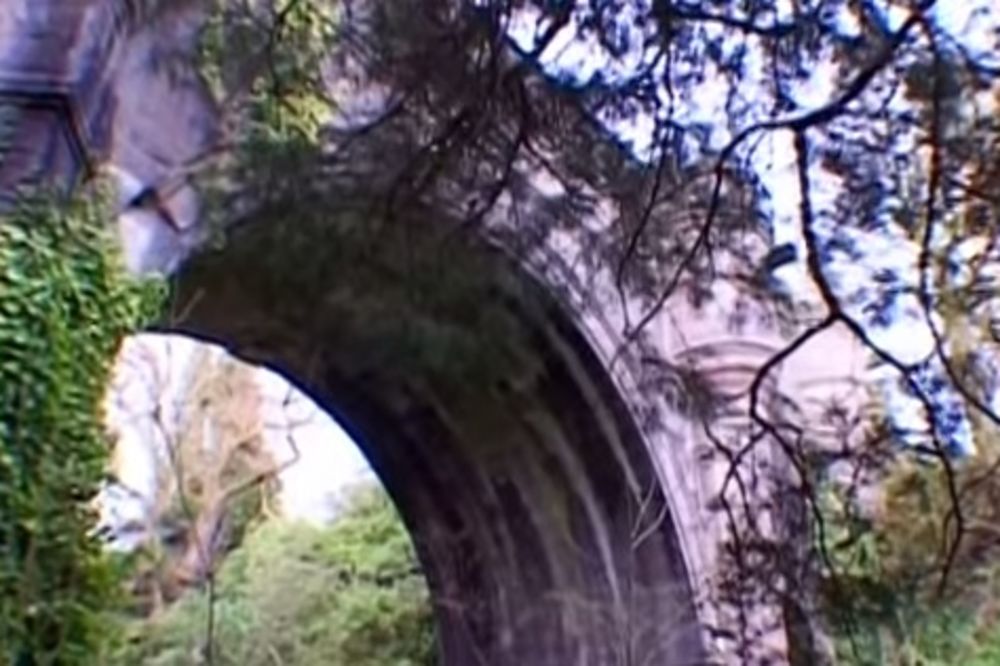 (VIDEO) MISTERIJA KOJA SLAMA SRCA: Sa ovog mosta je 50 pasa izvršilo samoubistvo!