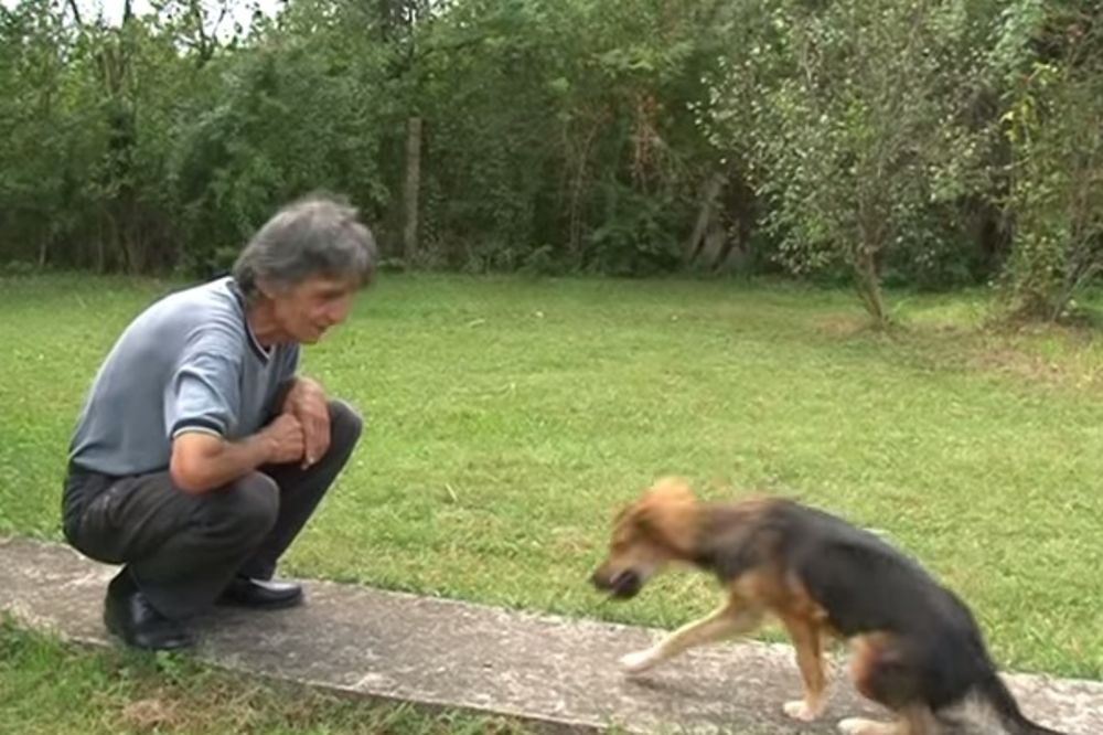 MEDA MATEMATIČAR: Pogledajte kako sabira pas genije iz Obrenovca!