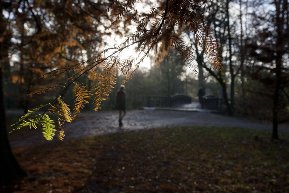 RHMZ: U Srbiji danas oblačno, temperatura do 15 stepeni!