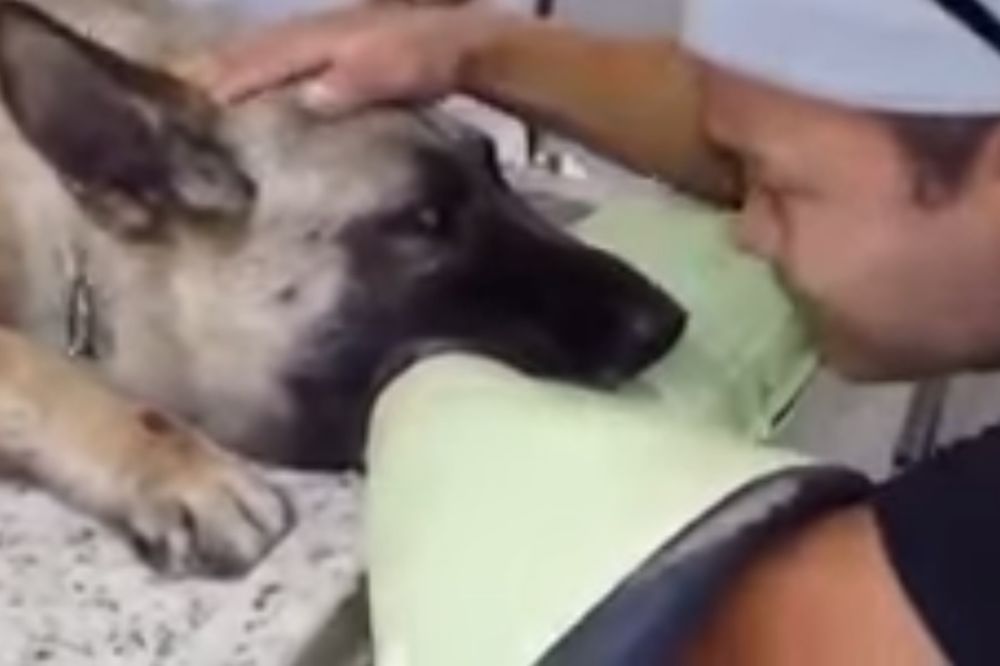(VIDEO) POSLEDNJI ZAGRLJAJ: Njegov oproštaj s psom kojeg uspavljuju rasplakao celi svet!
