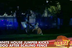(VIDEO) ZAUSTAVIO GA PAS: Napadač preskočio ogradu Bele kuće i pokušao da dođe do Obame!