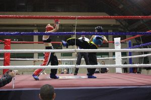 TROFEJ BEOGRADA: Kik boks turnir okupiće veliki broj učesnika