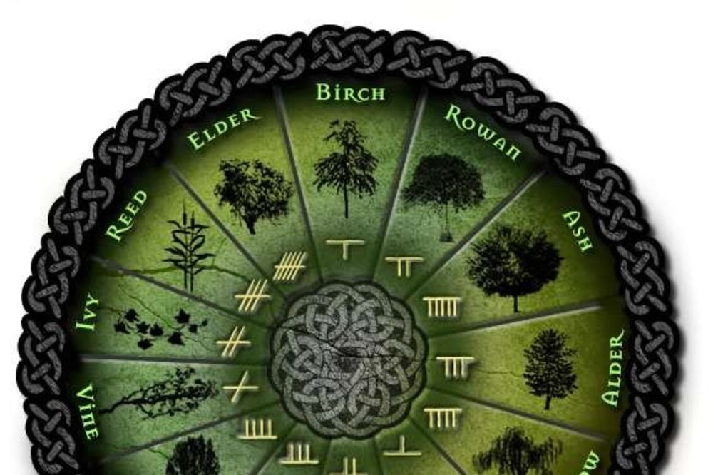 13 ZNAKOVA: Šta o vama kaže keltski horoskop?