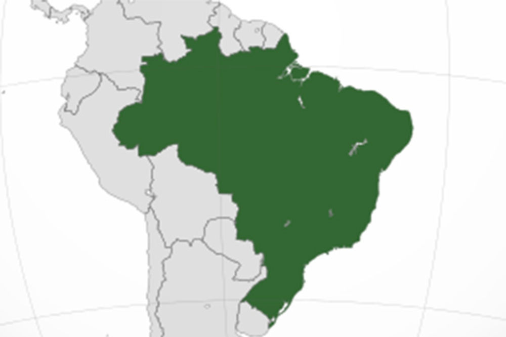 NA ROBIJU: Za brazilsku kanibalsku trojku od 20 do 23 godine zatvora