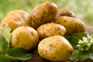 Sok od krompira - pomaže kod hemoroida, jača krv, reguliše pritisak