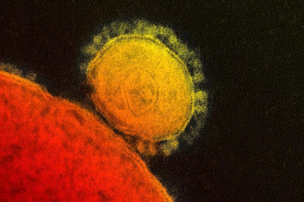NOVA POŠAST KOSI ŽIVOTE: Virus MERS ubio 348 ljudi u Saudijskoj Arabiji