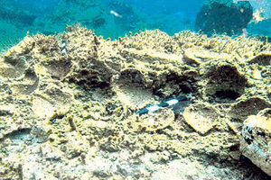 NALAZIŠTE U EGEJU: Pronađena grčka podvodna Pompeja