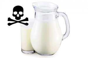 PANIKA U AUSTRIJI: Kancerogeni otrov nađen u mleku!