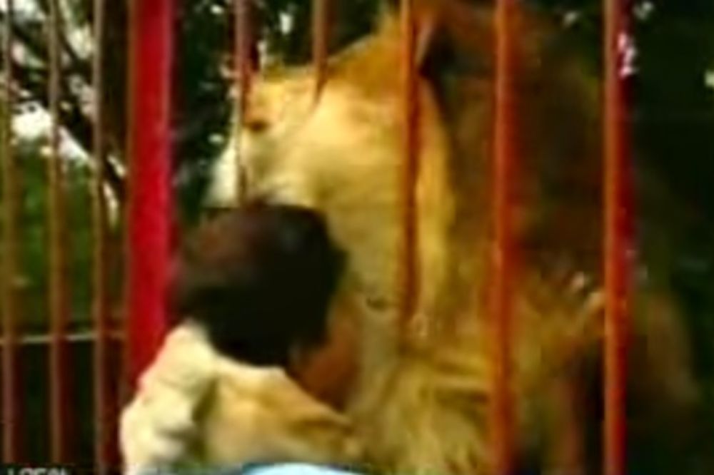 (VIDEO) Žena je prišla lavljem kavezu, a ono što je on uradio će vas ostaviti bez teksta...