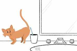 (VIDEO) Saznajte šta vaše mačke rade kada su same kod kuće