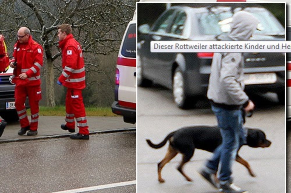 POBESNELI PAS: Rotvajler pobegao iz stana i izujedao dvoje dece!