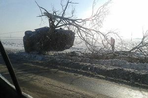 NEVEROVATNO: Auto završio na drvetu na putu Sombor-Kljajićevo
