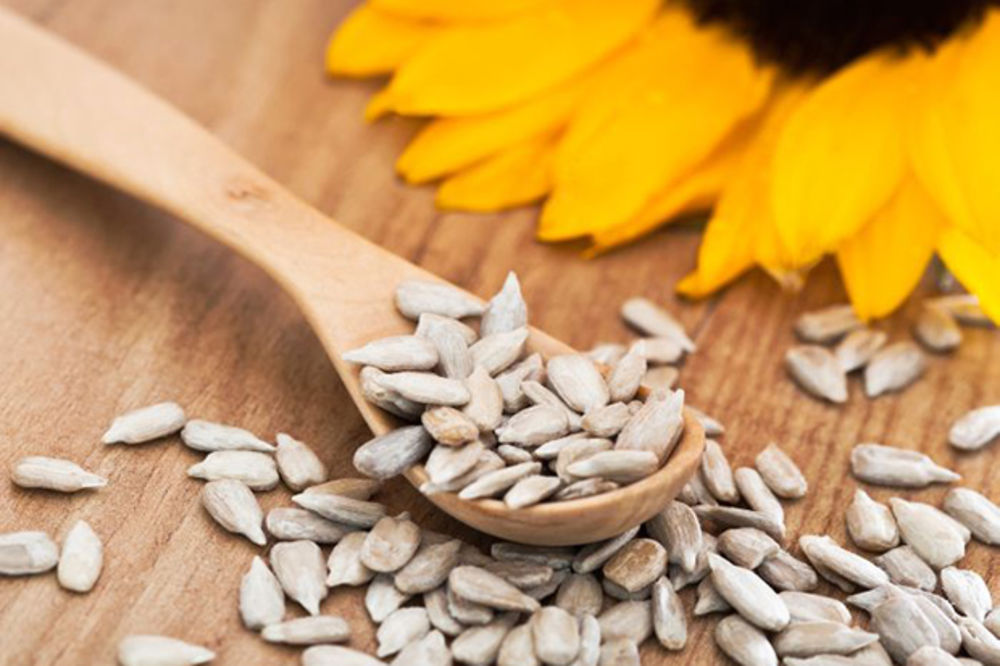 5 dobrih razloga da češće jedete semenke suncokreta