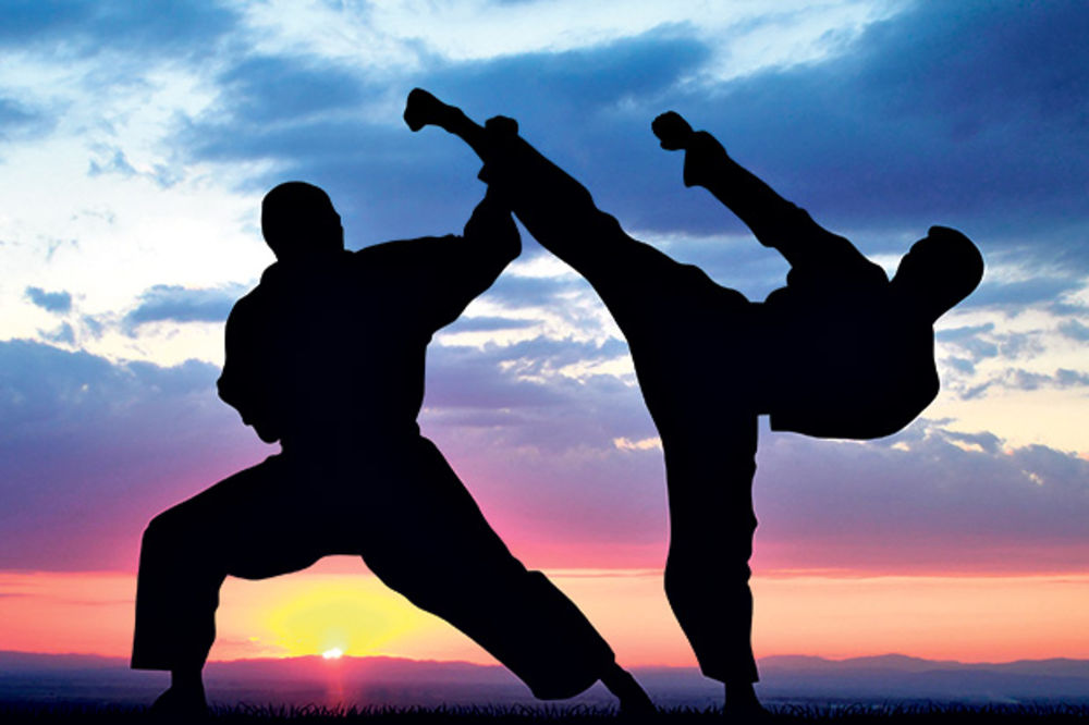 ELITA U BEOGRADU: Svetsko prvenstvo u tradicionalnom karateu u Šumicama