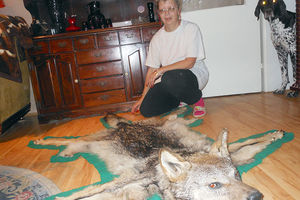 LJUBITELJI ŽIVOTINJA OGORČENI: Donela prepariranog vuka deci na predavanje u Bečeju