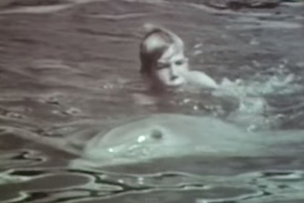 (VIDEO) ISPOVEST ZOOFILA: Ovo je čovek koji je imao seks sa delfinom i pokušao sa pudlicom!