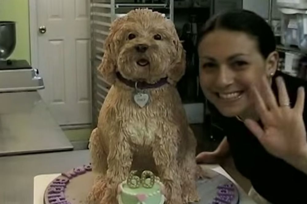 (VIDEO) OBRADUJTE SVOJU DECU: Evo kako da napravite tortu u obliku psa