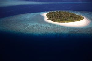 MALDIVI: Čeri Bler optužena da savetuje predsednika-diktatora