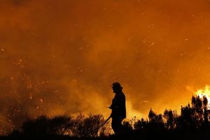 (FOTO + VIDEO) OVO JE ŽIVI PAKAO NA ZEMLJI: Pogledajte kako vatra guta sve pred sobom u Kejptaunu!