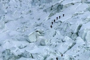 PODVIG SA NESREĆNIM KRAJEM: Popeli se na Mont Everest, pa preminuli od visinske bolesti