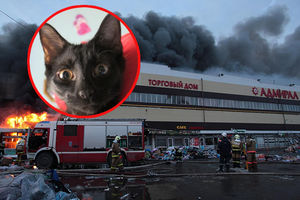 (VIDEO) U KAZANJU JOŠ BROJE TELA: Crna mačka preživela požar, 14 ljudi poginulo!