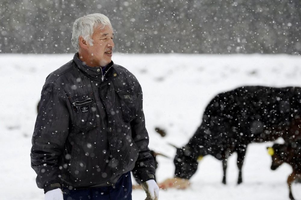 (FOTO) OKRUŽEN KOSTIMA U IME ŽIVOTA: On je poslednji čovek u Fukušimi i ostao je zbog životinja