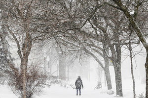 Sneg odsekao 100 porodica od sveta