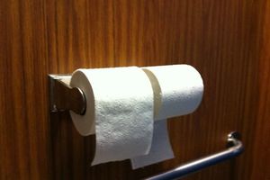 NAPOKON ZAVRŠENA SVAĐA VEKA: Da li toalet papir treba da stoji ispod ili preko?