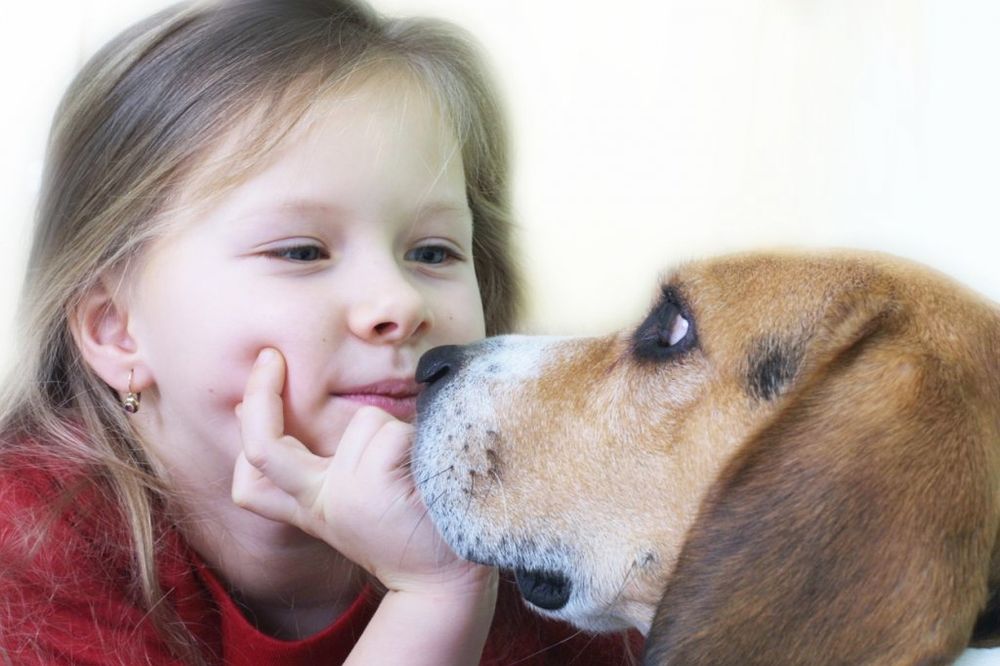 Deca koja odrastaju sa psom imaju manju šansu da obole od astme