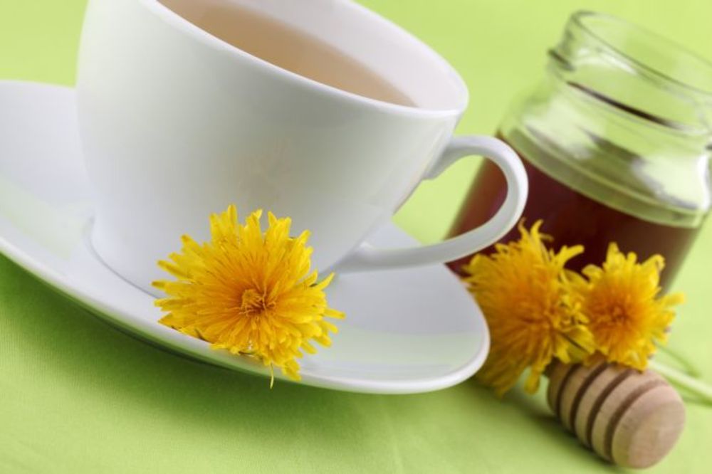 Čaj od korena maslačka - uklanja nadutost, štiti jetru i bubrege