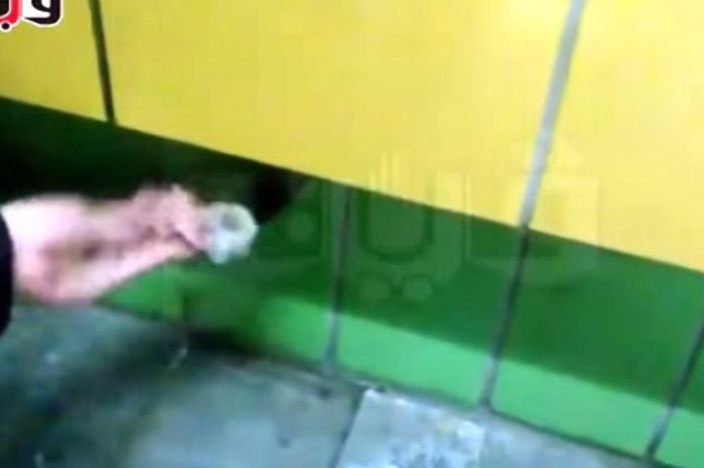 (VIDEO) NAPOKON SLOBODAN: Abdo pet godina hranio mačka zarobljenog iza zida!