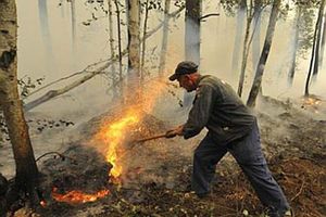 (VIDEO) VATRA ZAHVATILA 40 NASELJA: Požar u Sibiru, 5 mrtvih, 200 povređenih!