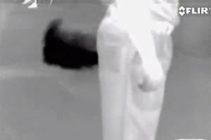 (VIDEO) ZNATE KAKO MIRIŠE, ALI KAKO IZGLEDA: Infracrvena kamera ovako vidi puštanje gasa!