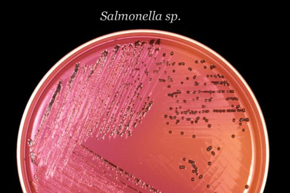 TROVANJE U DOMU ZA STARE KOD ČAČKA: Dvoje zaraženih salmonelom nestabilno
