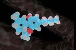 VIDEO DOKAZ: Evo kako kanabis ubija ćelije raka!