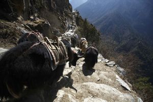 NEMA VIŠE: Šerpasi odbijaju da obnove put ka Mont Everestu