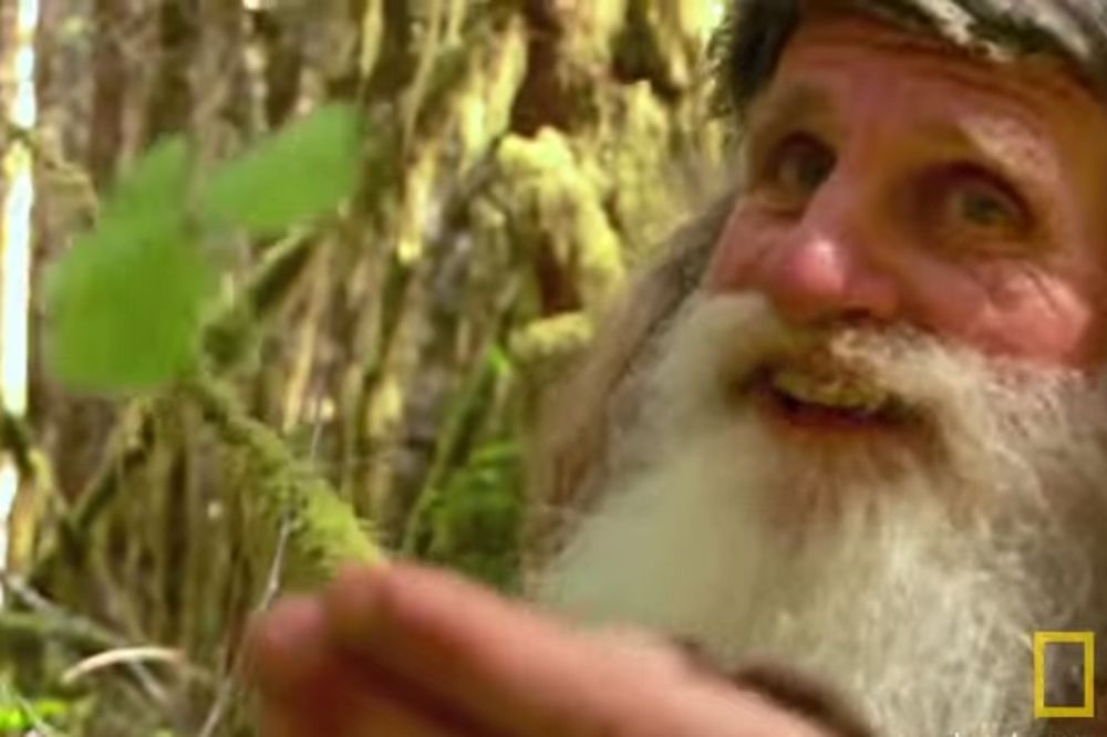 (VIDEO) POBEGAO OD STRESNOG ŽIVOTA: Otišao u šumu da živi jer ga materijalne stvari ne usrećuju!