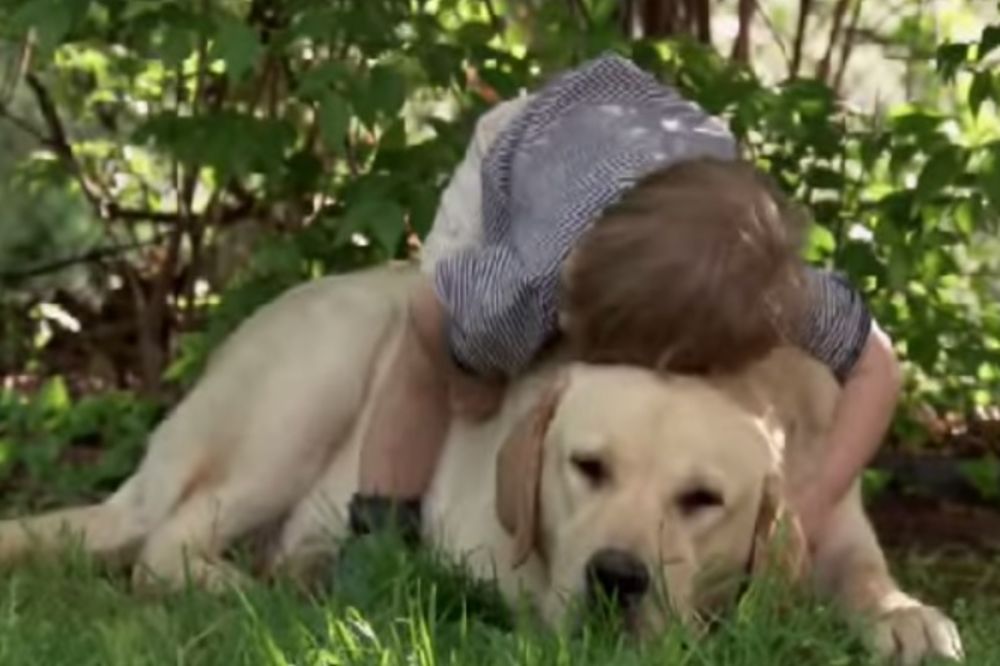(VIDEO) Dečak se popeo na leđa svog labradora, ono što je usledelo je neprocenjivo