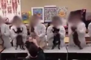 (VIDEO) GROTESKNA ZABAVA Učenici prestižne škole plesali s leševima mačaka