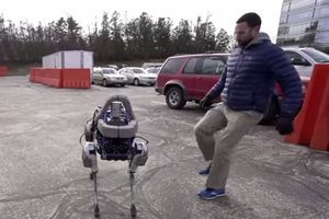 (VIDEO) OVAKO ĆE NAM IZGLEDATI REALNOST: Umesto pasa i mačaka, šetaćemo robote!