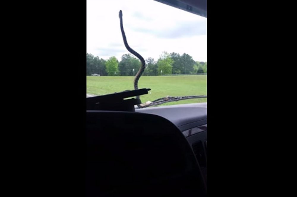 (VIDEO) RUKE MU SE ODSEKLE ZA VOLANOM: Uživao je u vožnji dok se nije pojavila ona