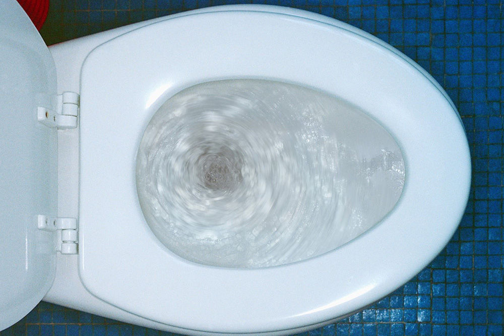 MORBIDNO: Japanac ženu bacio u WC šolju jer je život uz nju bio pakao!
