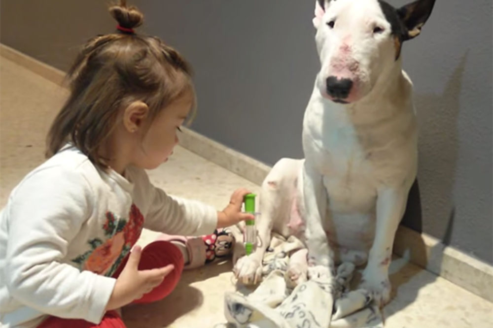 OVA INJEKCIJA STVARNO NE BOLI: Devojčica objasnila kako se brine o psu!