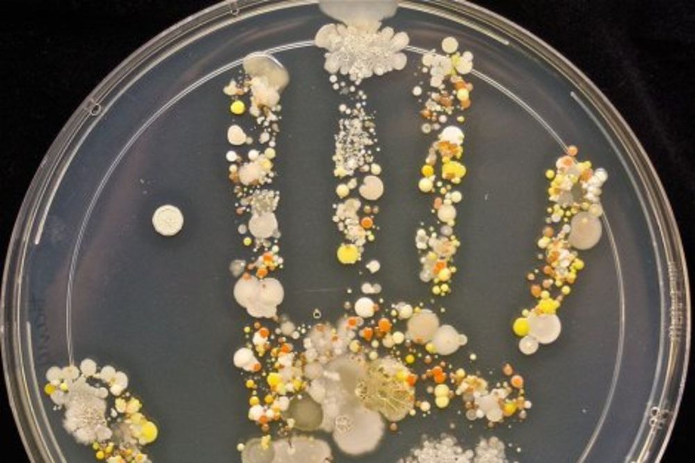 (FOTO) Ovo su mikroorganizmi na šakama vašeg deteta posle igranja u parkiću