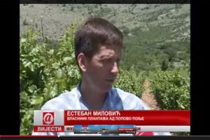 IZ ARGENTINE U HERCEGOVINU: Esteban Milović u zemlji predaka započeo unosan posao!